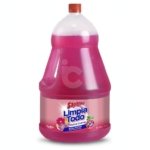 Limpia todo Aroma Floral Sapolio - Envase 3.78 L